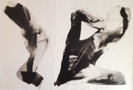 palladium print - abstract image by Alice Garik