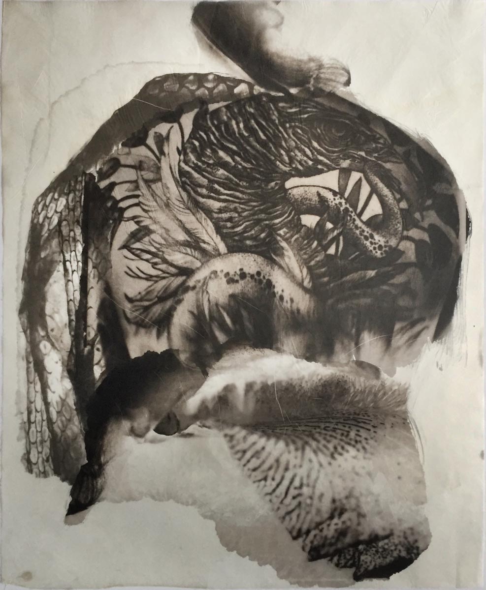 palladium print - abstract image of a bird tattoo with a snake and iris flower by Alice Garik