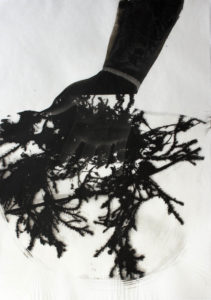 A man has his hand in moss in this graphically black and white print.