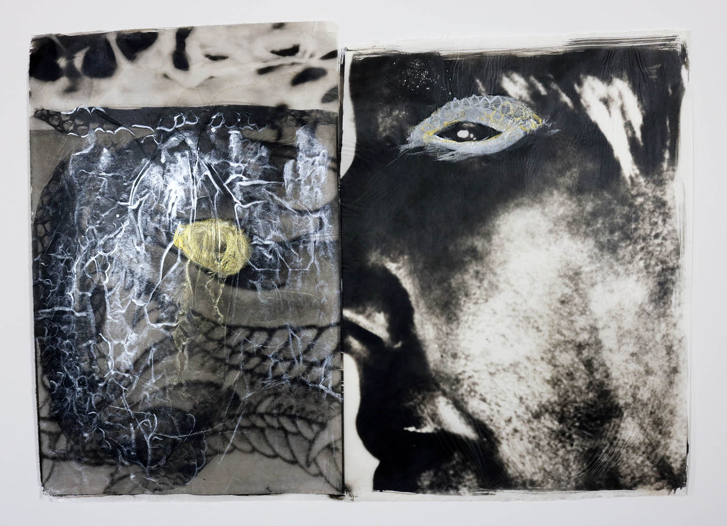 The portraits of the snake and the woman represent our unity with all animate beings.