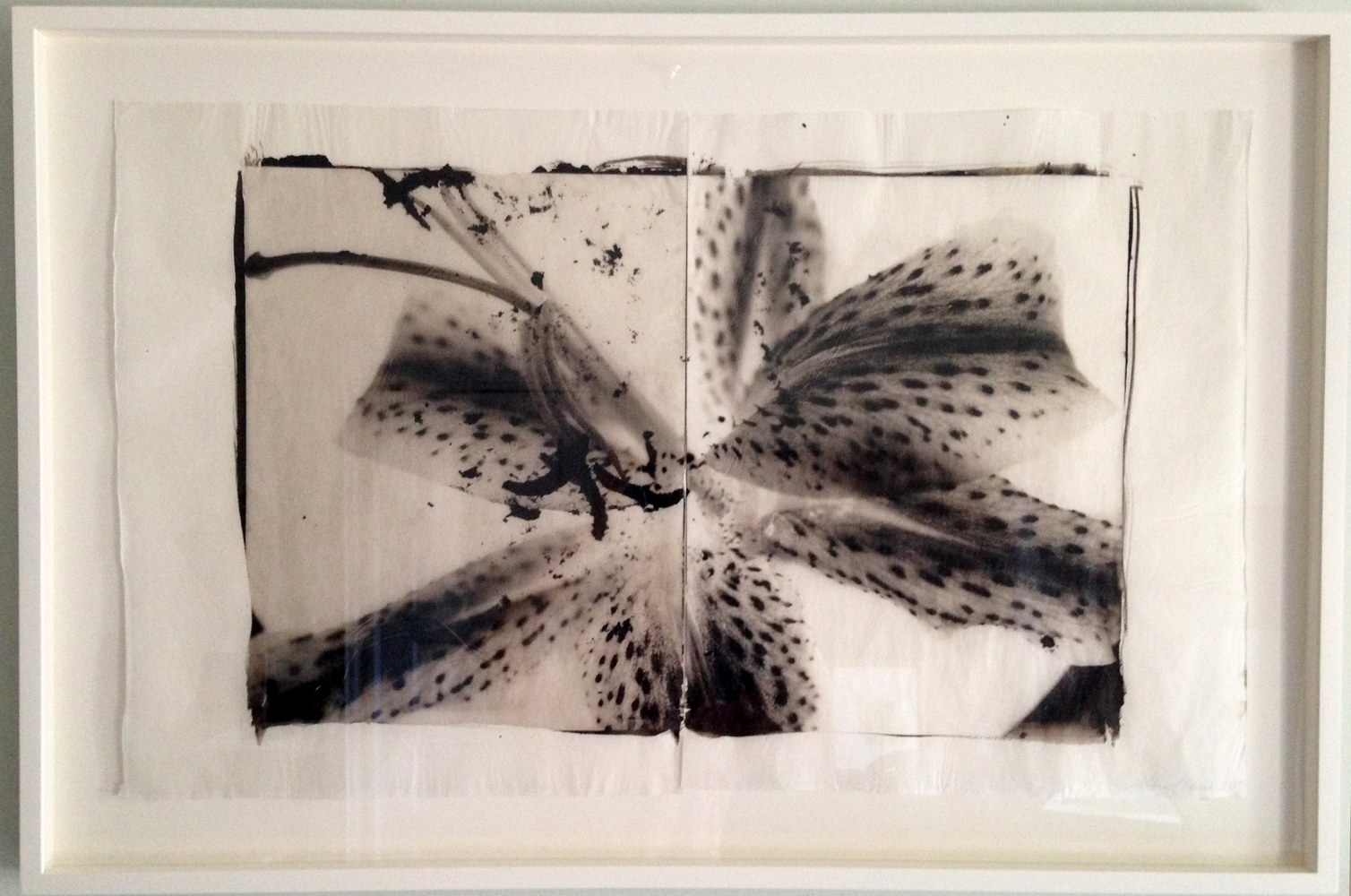 A diptych of a lily, framed and ready for sale.