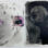Diptych with eyes within a butterfly wing searching for connections to butterflies across time, memory and the present.
