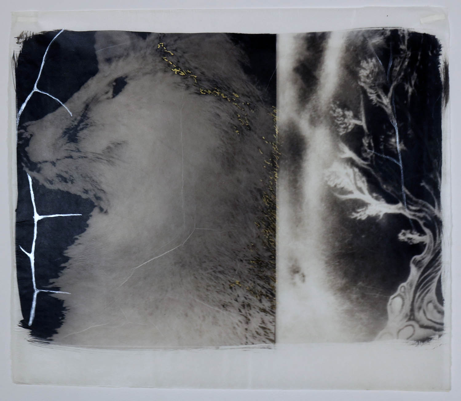 Diptych of a fox and a person with a tattooed tree asks whether our drawings of a tree will be enough habitat for a fox.