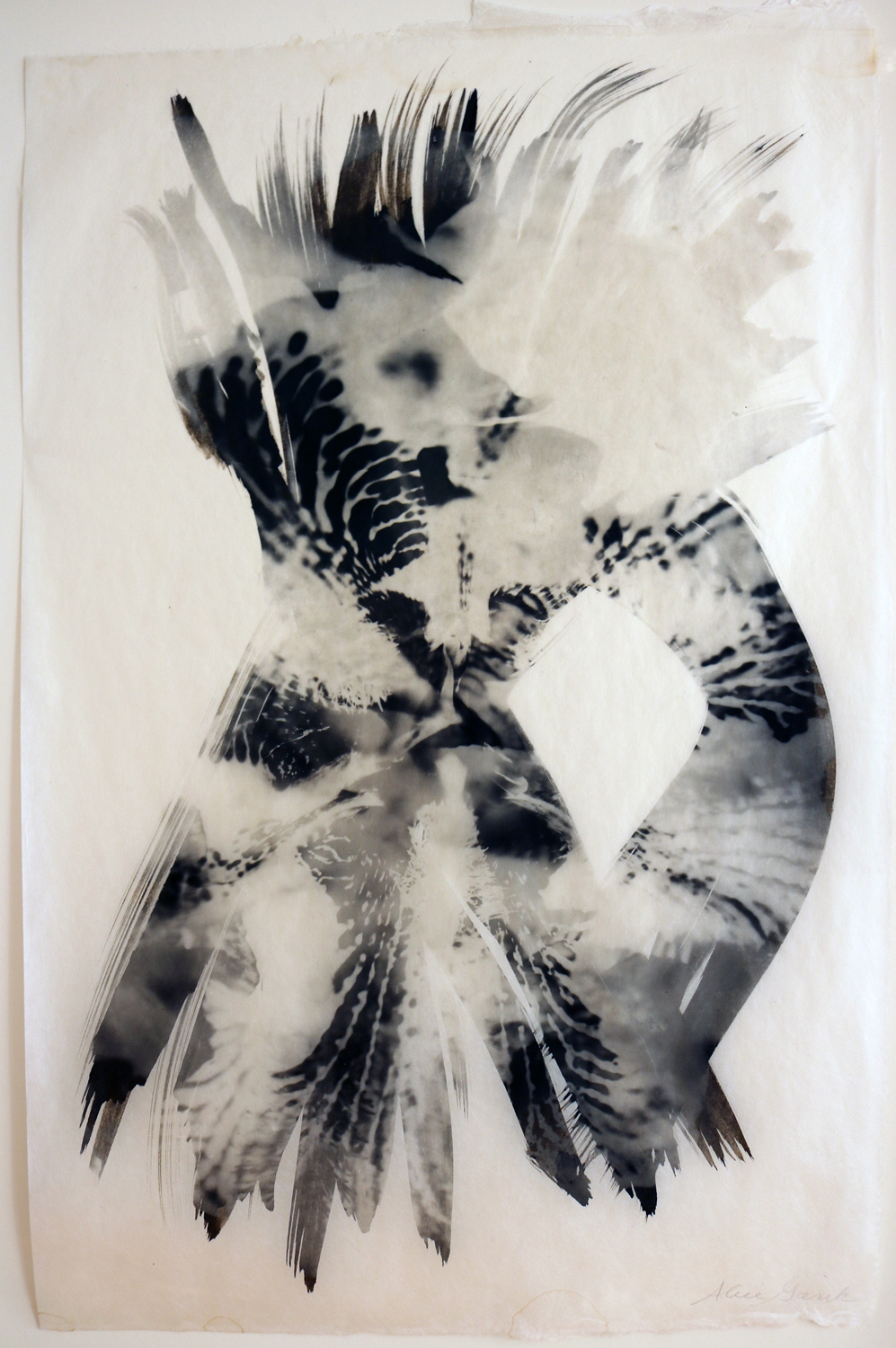 Following the forms of the Iris flower, I paint the palladium emulsion to show the flower's energy.