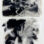 Abstract diptych of a woman among peony flowers with the second palladium print of an abstract peony.