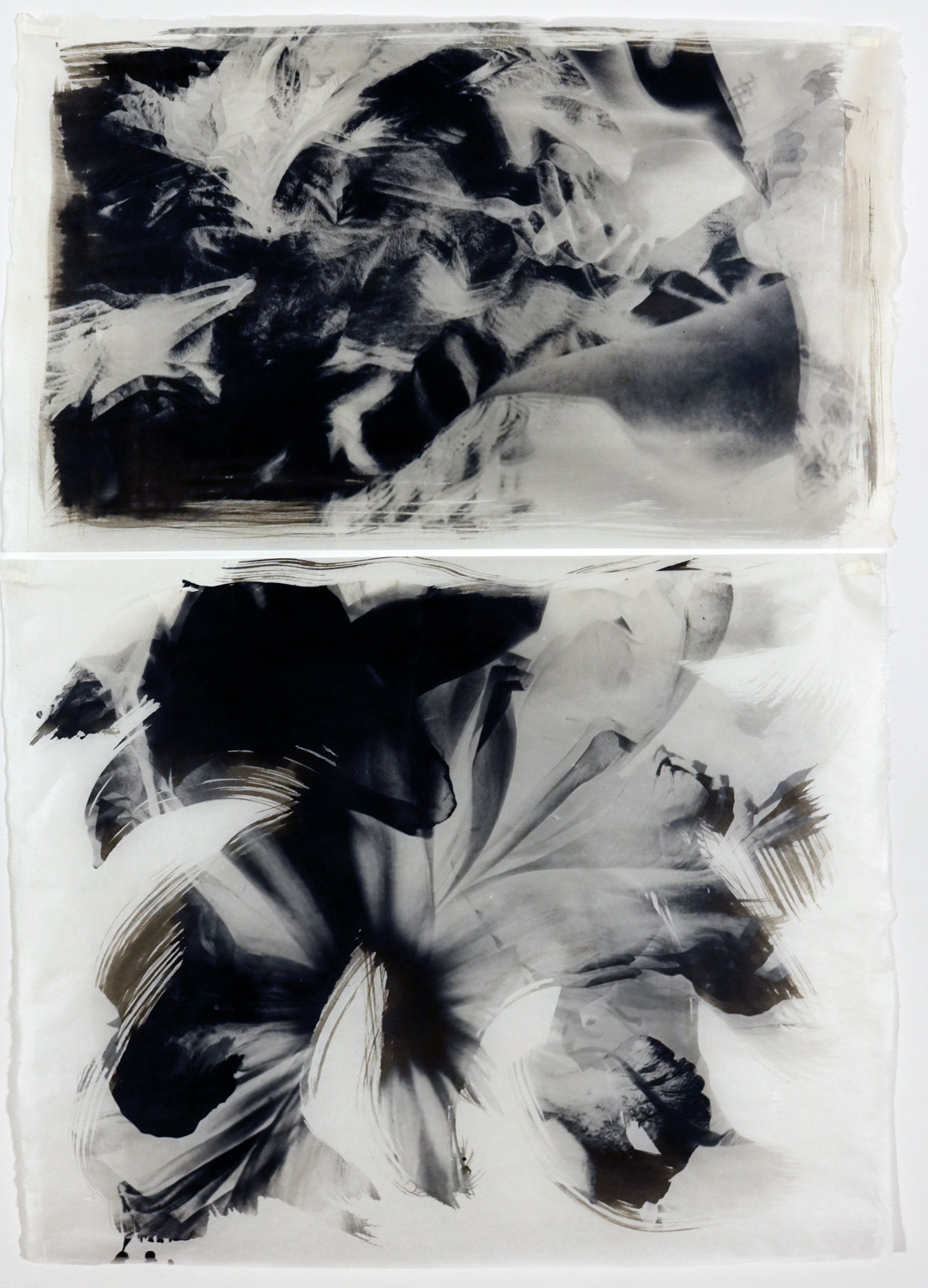 Abstract diptych of a woman among peony flowers with the second palladium print of an abstract peony.