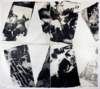 This set of four palladium prints on Japanese gampi paper uses negatives I have created of Iris flowers with figurative works of a woman surrounded by flowers. The flowers and the woman's body are abstracted to show the similarities in the forms. We and natural objects can exist in harmony.