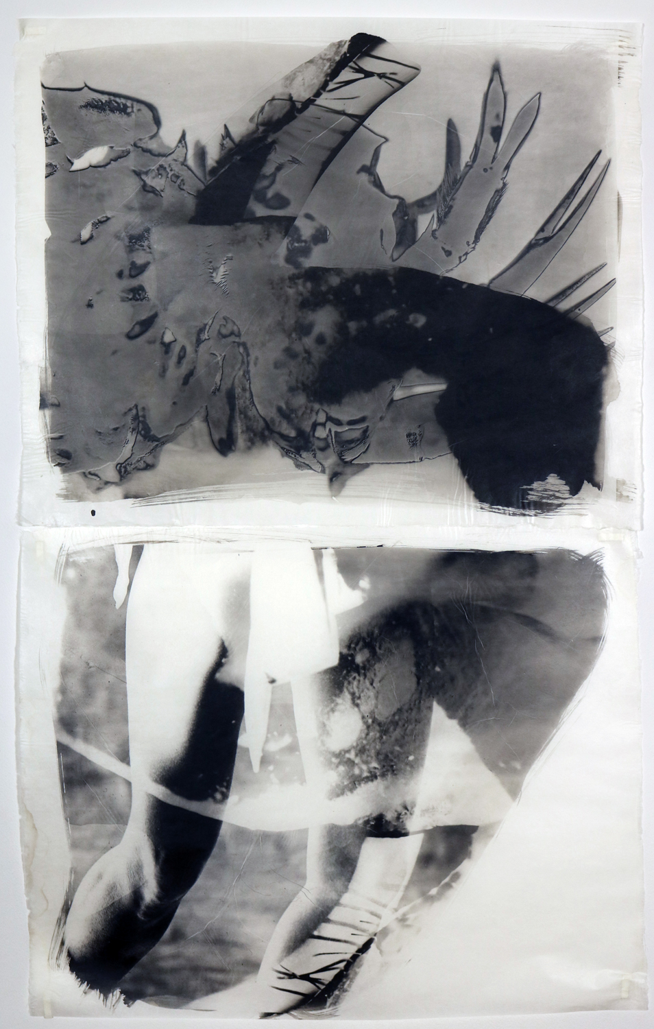 Her legs and the legs of a horseshoe crab share the water in this diptych.