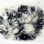 Camera-less articulation of seaweed mimics the textures of the ocean.