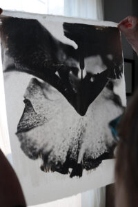 I hold this print up to the light to view the translucent Gampi paper used to print this Iris with palladium.