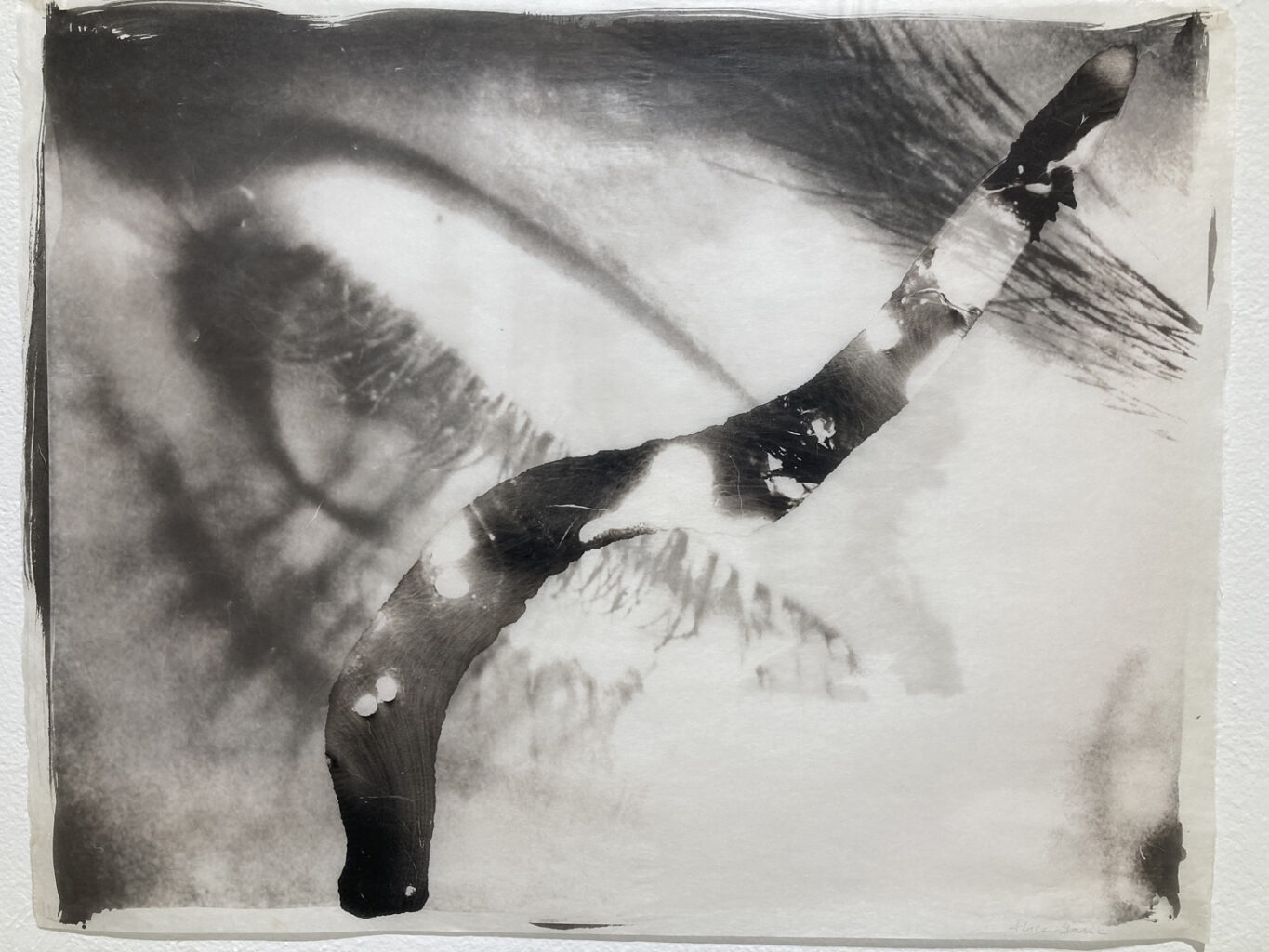 The flow of sea water that crosses her eye speaks to our origins in the ocean. A 16 X 20 inch palladium print.