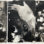 Triptych of palladium prints with a hand tattooed with stars and fingernails painted with snake skin, surrounded by ocean life, elemental forms of our origins.