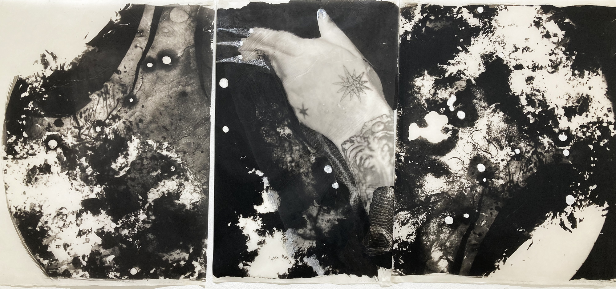 Triptych of palladium prints with a hand tattooed with stars and fingernails painted with snake skin, surrounded by ocean life, elemental forms of our origins.
