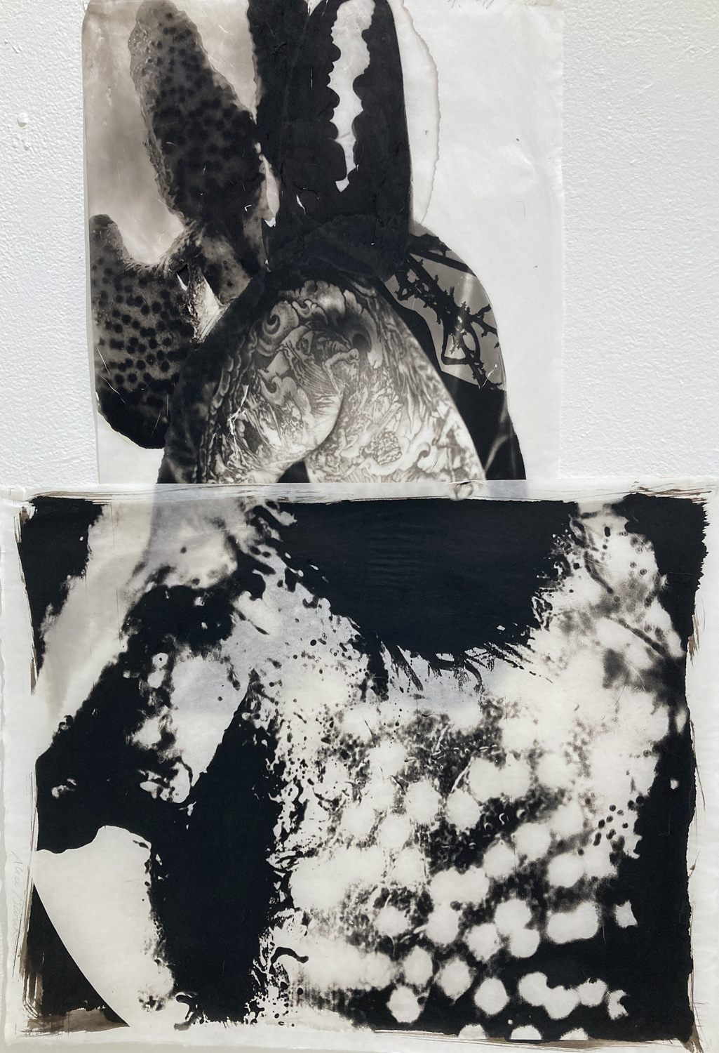 Tattooed arm, seaweed, a shrimp claw and enlarged seaweed patterns remind us of our connections to the ocean as the source of our lives.