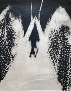 The tail of a shrimp enlarged to show its architecture in this palladium print on handmade Japanese gampi.