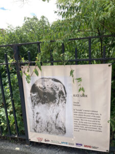 "Cascade" is an artwork displayed at Coffey Park in Red Hook, Brooklyn in the summer of 2025 as part of an exhibit titled Power, Privilege and Identity.