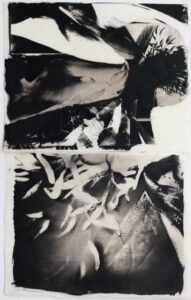 A woman immersed in a peony blossom. The peony is associated with ideas about women's powers.