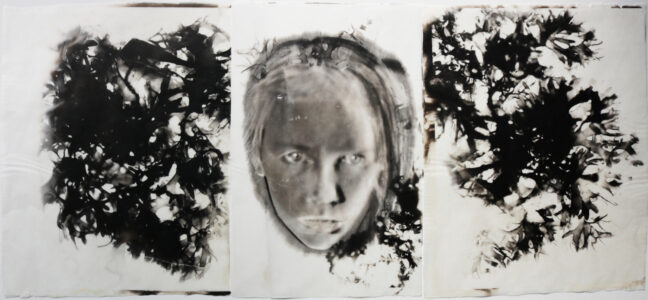 A palladium triptych looking at how we will attune to the life in the oceans in the future.