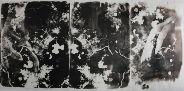 A palladium triptych exploring our bodies' entanglements in the ocean.