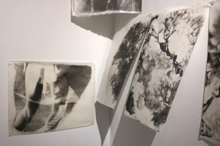Palladium prints of seaweed hung with the ability to float as the air currents pick them up as they would on the shores of the ocean. Part of the installation at the School of Visual Arts.