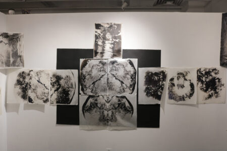 The installation at the School of Visual Arts of palladium prints of Irish moss seaweed, some blowing with the air currents to show how the sea breeze moves.