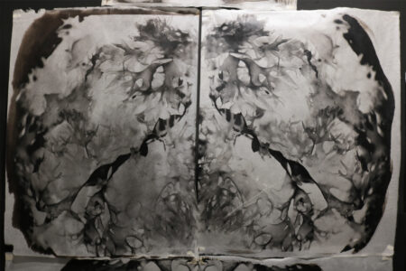 Palladium prints of Irish moss mirror each other to show how Irish moss encloses seal life within its center.