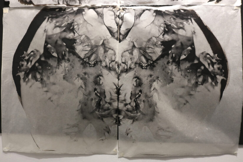 A mirrored palladium print series of the seaweed, Irish moss to show how Irish moss encloses sea life within its center.