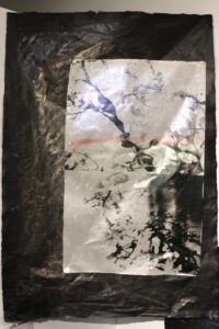 A palladium print of seaweed and ocean floats on a black paper with lustrous watercolor to depict the ocean atmosphere.